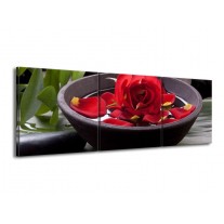 Canvas schilderij Roos | Rood, Zwart, Groen | 150x50cm 3Luik