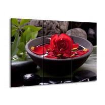 Glas schilderij Roos | Rood, Zwart, Groen | 90x60cm 3Luik