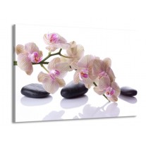 Glas schilderij Orchidee | Wit, Zwart, Roze | 100x70cm 1Luik