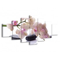 Glas schilderij Orchidee | Wit, Zwart, Roze | 210x100cm 7Luik