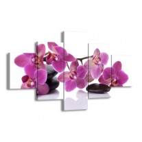Glas schilderij Orchidee | Paars, Wit | 125x70cm 5Luik