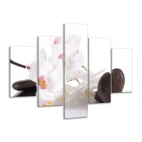 Glas schilderij Orchidee | Wit, Zwart | 100x70cm 5Luik