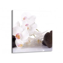 Glas schilderij Orchidee | Wit, Zwart | 70x70cm 1Luik