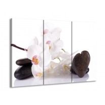 Canvas schilderij Orchidee | Wit, Zwart | 90x60cm 3Luik