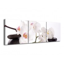 Glas schilderij Orchidee | Wit, Zwart | 120x40cm 3Luik