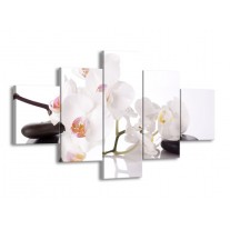 Glas schilderij Orchidee | Wit, Zwart | 125x70cm 5Luik