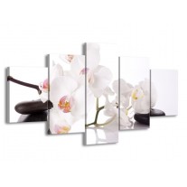 Glas schilderij Orchidee | Wit, Zwart | 150x80cm 5Luik