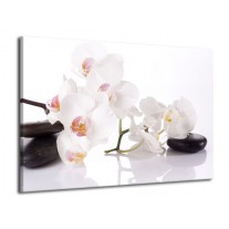 Glas schilderij Orchidee | Wit, Zwart | 70x50cm 1Luik
