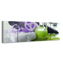 Canvas schilderij Spa | Paars, Groen, Grijs | 170x50cm 3Luik