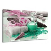 Canvas schilderij Spa | Groen, Roze | 165x100cm 3Luik