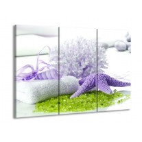 Glas schilderij Spa | Paars, Groen, Wit | 90x60cm 3Luik