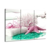 Canvas schilderij Spa | Roze, Groen | 90x60cm 3Luik