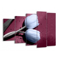Glas schilderij Tulpen | Paars, Blauw | 150x100cm 5Luik