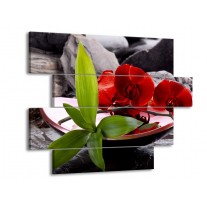 Glas schilderij Orchidee | Rood, Groen, Grijs | 115x85cm 4Luik
