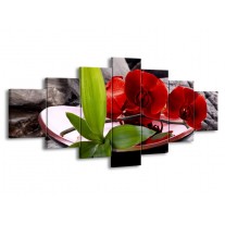 Glas schilderij Orchidee | Rood, Groen, Grijs | 210x100cm 7Luik