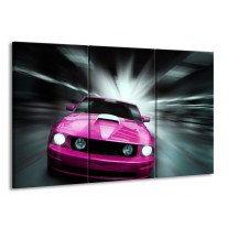 Canvas schilderij Mustang | Paars, Roze, Grijs | 165x100cm 3Luik