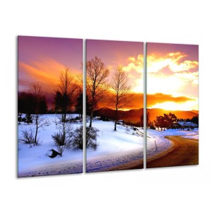 Canvas schilderij Winter | Wit, Oranje, Bruin | 120x80cm 3Luik