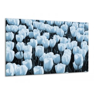 Canvas Schilderij Bloem, Tulpen | Blauw | 120x70cm 1Luik