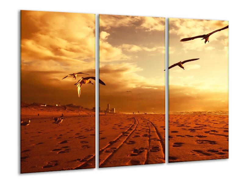 Glas schilderij Vogels | Goud, Geel, Oranje | 120x80cm 3Luik