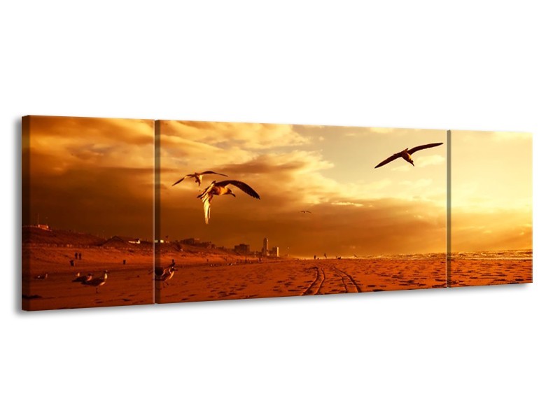 Glas schilderij Vogels | Goud, Geel, Oranje | 170x50cm 3Luik