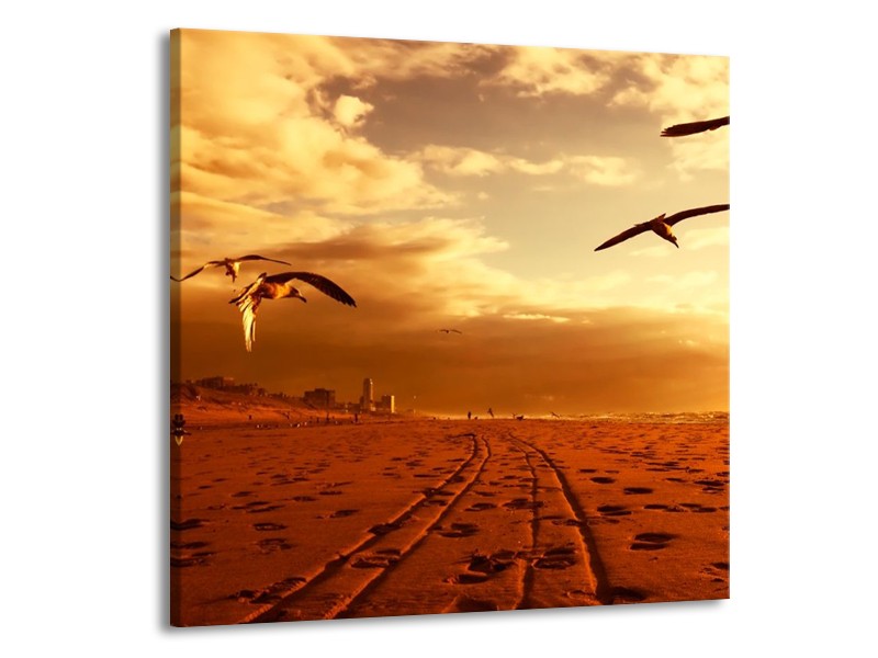 Canvas schilderij Vogels | Goud, Geel, Oranje | 50x50cm 1Luik