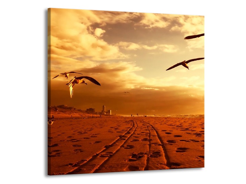 Canvas schilderij Vogels | Goud, Geel, Oranje | 70x70cm 1Luik