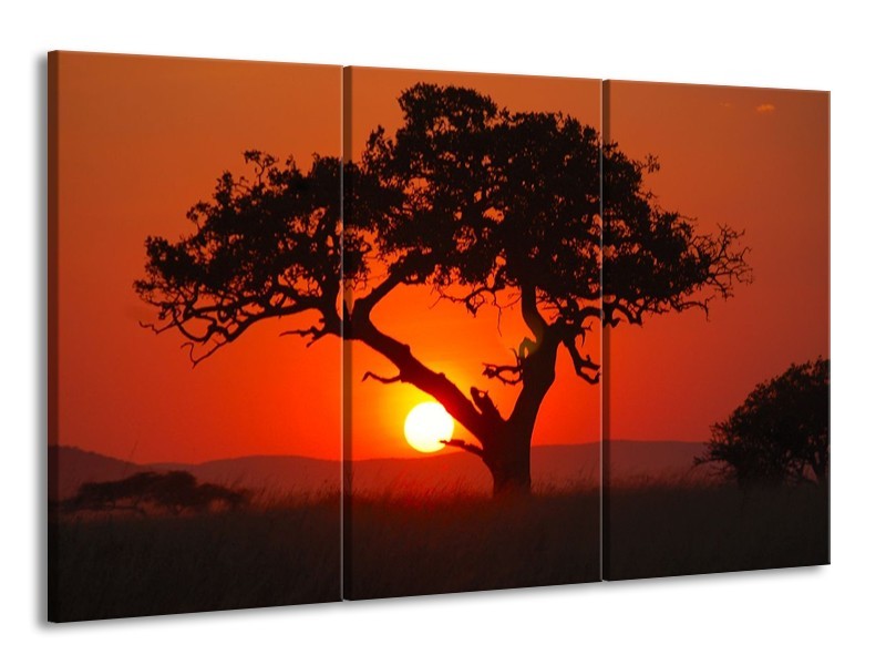 Glas schilderij Boom | Rood, Geel, Zwart | 165x100cm 3Luik