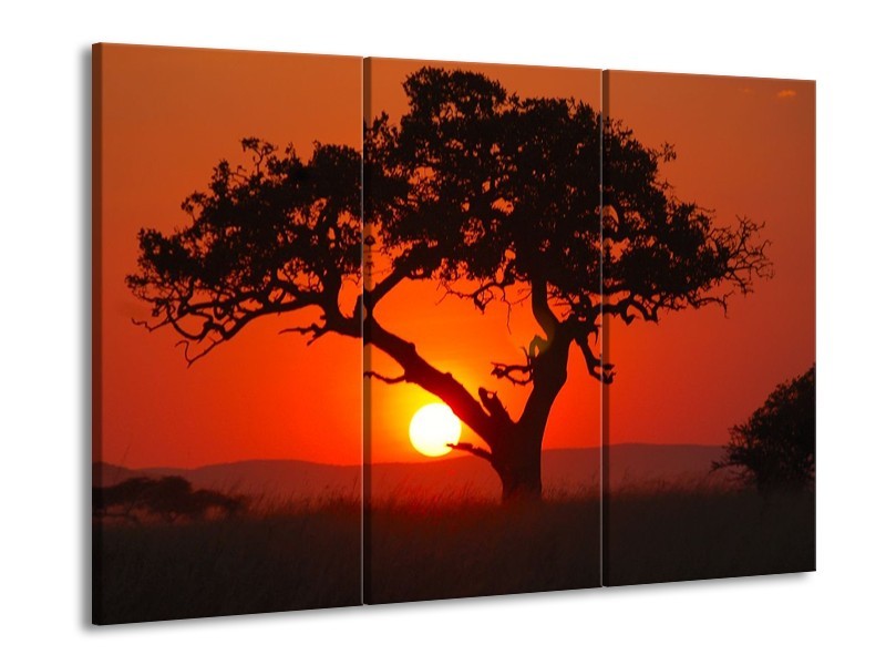 Glas schilderij Boom | Rood, Geel, Zwart | 90x60cm 3Luik
