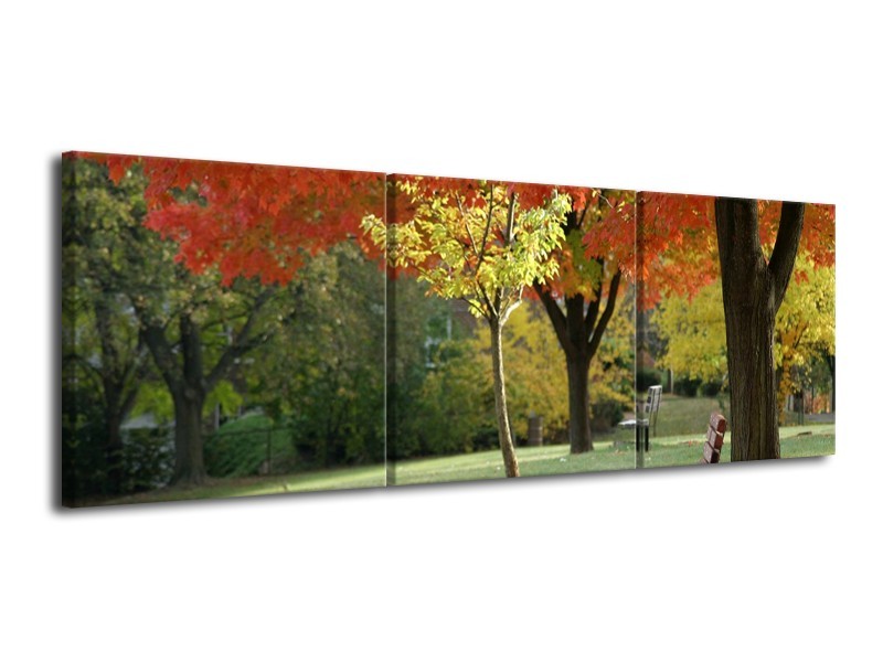 Canvas schilderij Park | Oranje, Geel, Groen | 120x40cm 3Luik