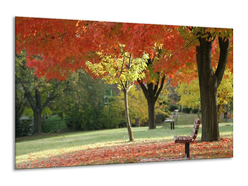 Canvas schilderij Park | Oranje, Geel, Groen | 120x70cm 1Luik