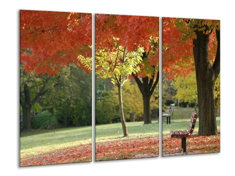 Glas schilderij Park | Oranje, Geel, Groen | 120x80cm 3Luik