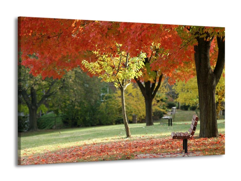Canvas schilderij Park | Oranje, Geel, Groen | 140x90cm 1Luik
