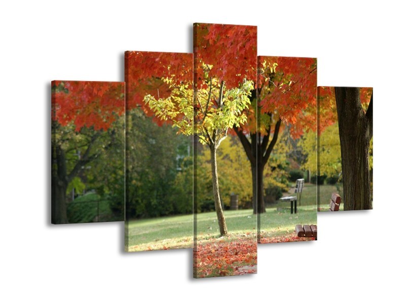 Glas schilderij Park | Oranje, Geel, Groen | 150x105cm 5Luik