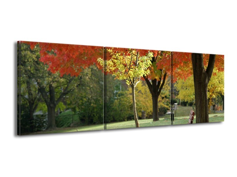 Glas schilderij Park | Oranje, Geel, Groen | 150x50cm 3Luik
