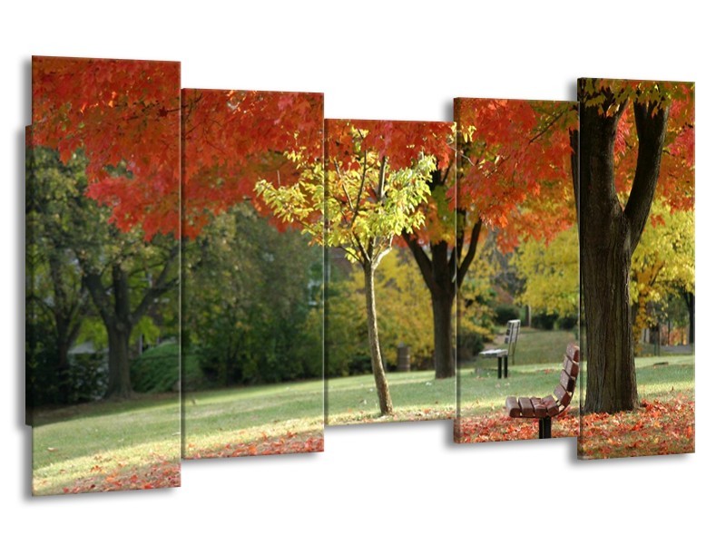 Glas schilderij Park | Oranje, Geel, Groen | 150x80cm 5Luik