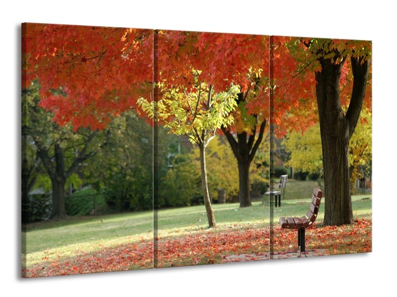 Canvas schilderij Park | Oranje, Geel, Groen | 165x100cm 3Luik
