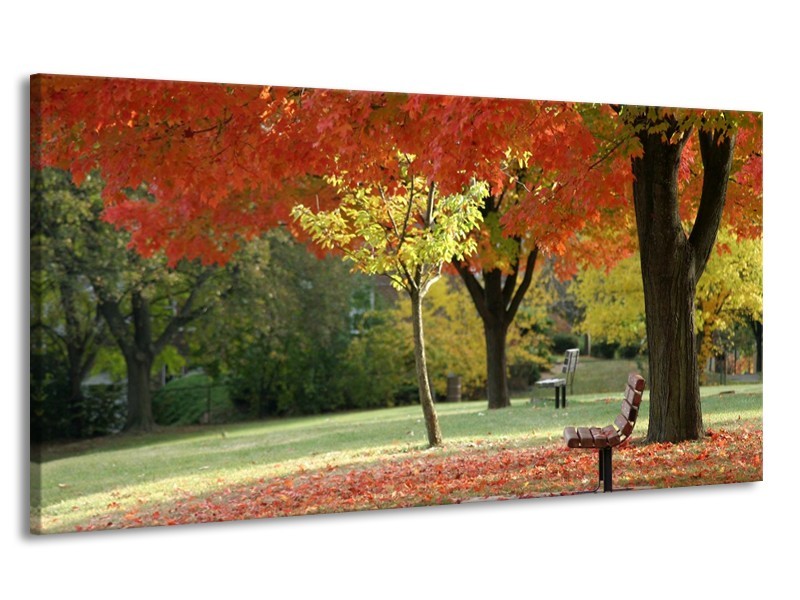 Canvas schilderij Park | Oranje, Geel, Groen | 170x90cm 1Luik