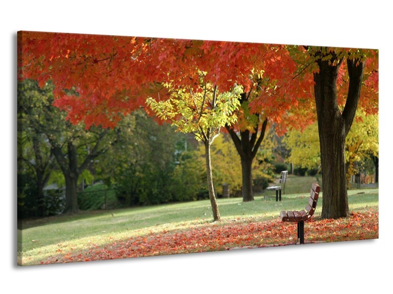 Canvas schilderij Park | Oranje, Geel, Groen | 190x100cm 1Luik