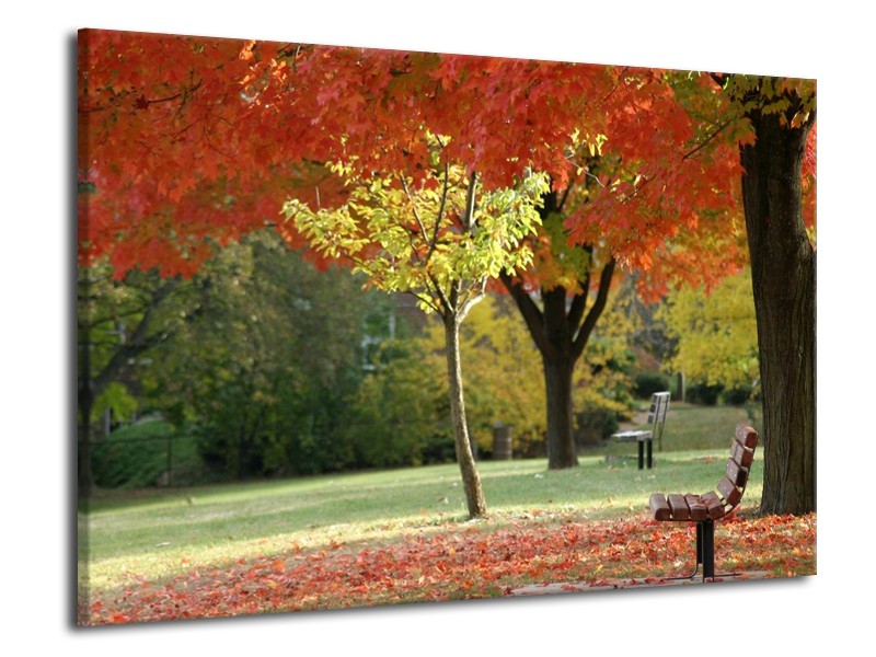 Canvas schilderij Park | Oranje, Geel, Groen | 70x50cm 1Luik
