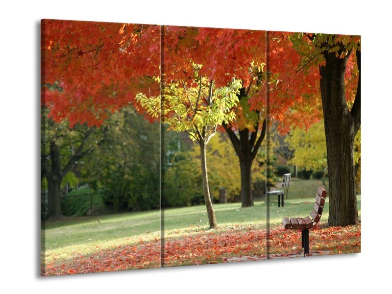 Glas schilderij Park | Oranje, Geel, Groen | 90x60cm 3Luik