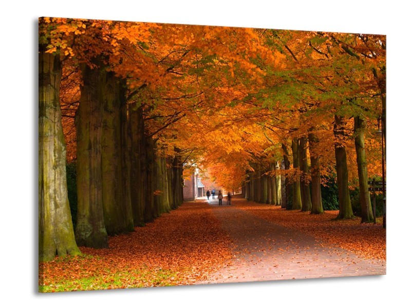 Canvas schilderij Herfst | Bruin, Oranje, Groen | 100x70cm 1Luik