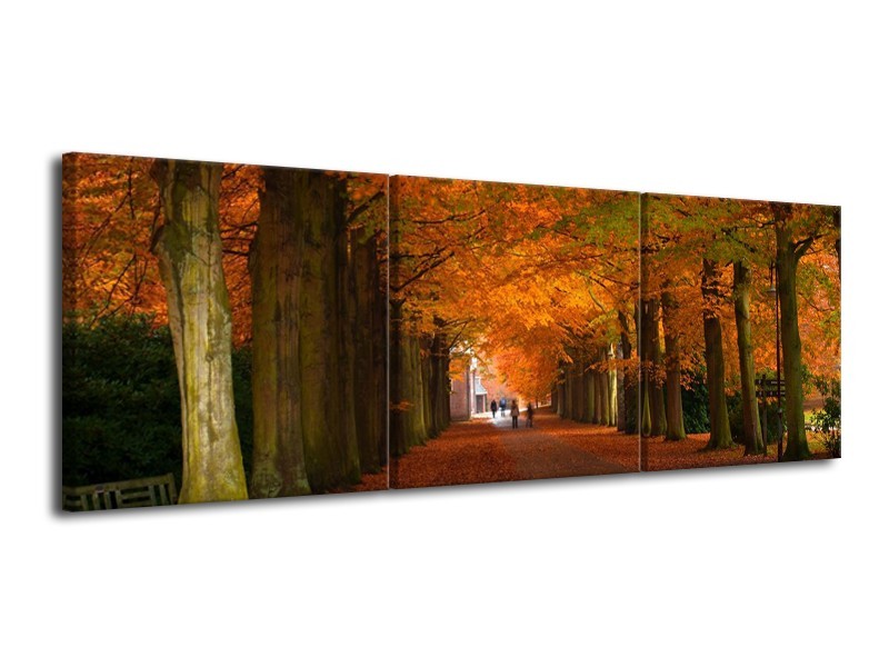 Canvas schilderij Herfst | Bruin, Oranje, Groen | 120x40cm 3Luik