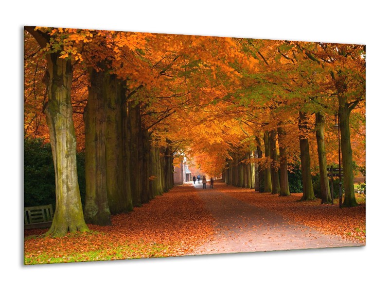 Canvas schilderij Herfst | Bruin, Oranje, Groen | 120x70cm 1Luik