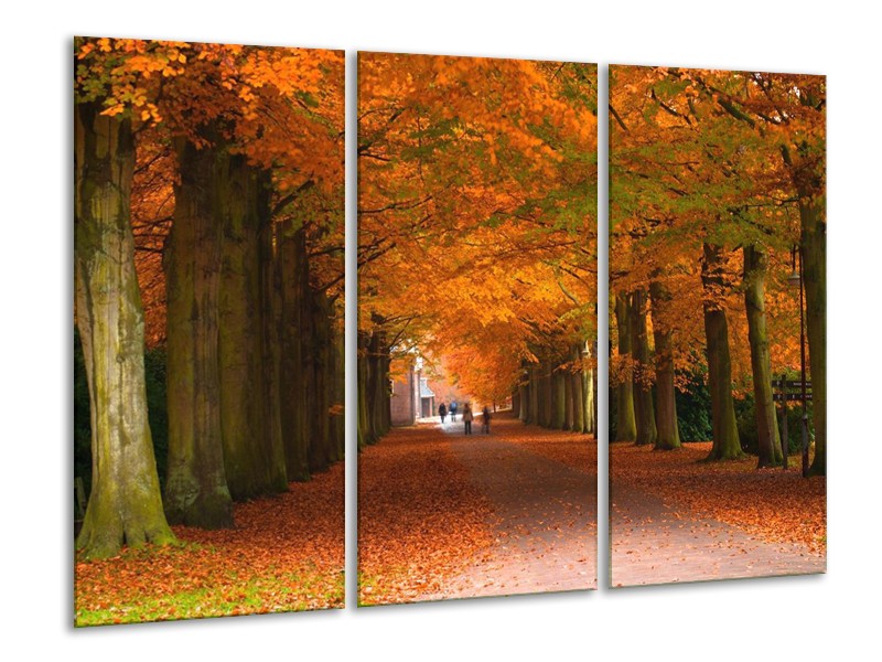 Canvas schilderij Herfst | Bruin, Oranje, Groen | 120x80cm 3Luik