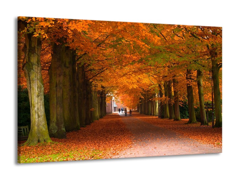 Canvas schilderij Herfst | Bruin, Oranje, Groen | 140x90cm 1Luik