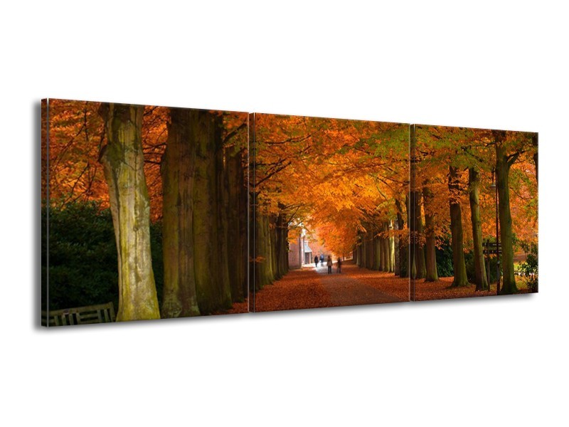Canvas schilderij Herfst | Bruin, Oranje, Groen | 150x50cm 3Luik