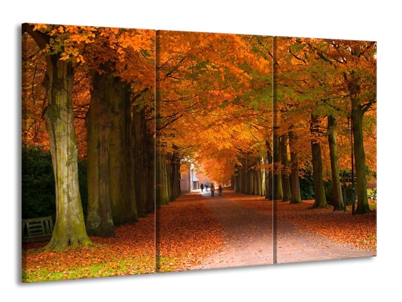 Canvas schilderij Herfst | Bruin, Oranje, Groen | 165x100cm 3Luik