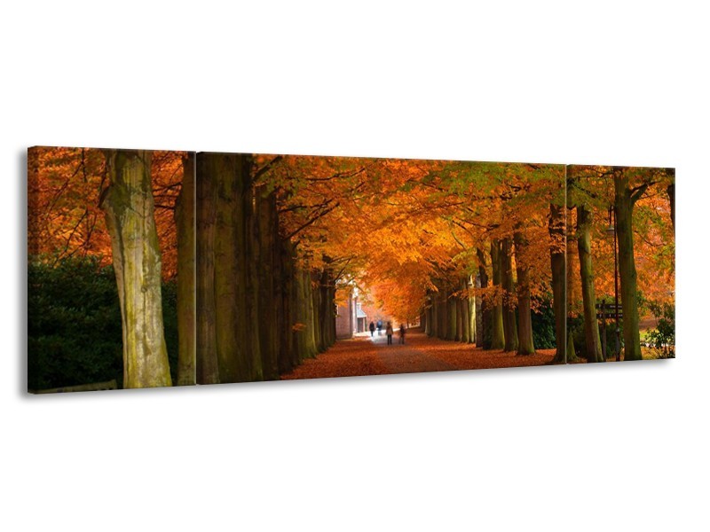 Canvas schilderij Herfst | Bruin, Oranje, Groen | 170x50cm 3Luik