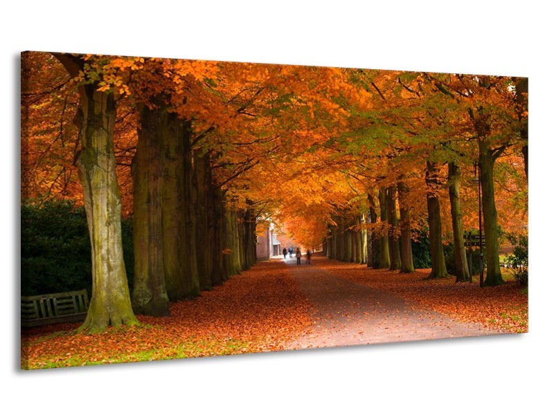 Canvas schilderij Herfst | Bruin, Oranje, Groen | 170x90cm 1Luik