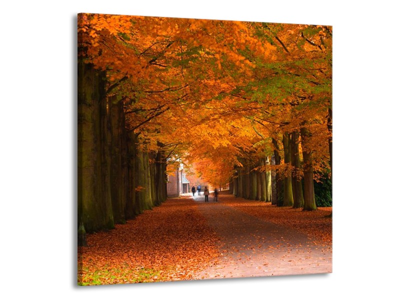 Glas schilderij Herfst | Bruin, Oranje, Groen | 50x50cm 1Luik